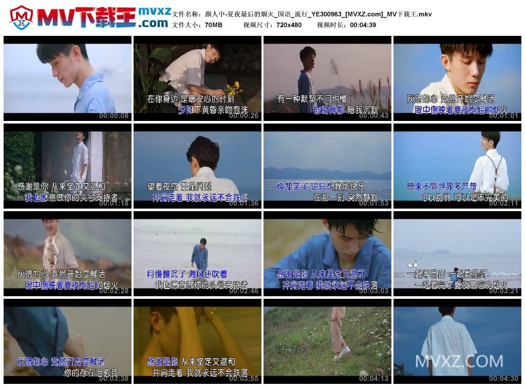 颜人中-夏夜最后的烟火_国语_流行_YE300963